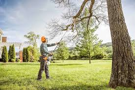 Reliable North Manchester, IN Tree Services Solutions